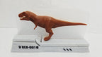 T-Rex Anatomy Sliced Diorama | Interactive Layered Dinosaur Lab Display Model