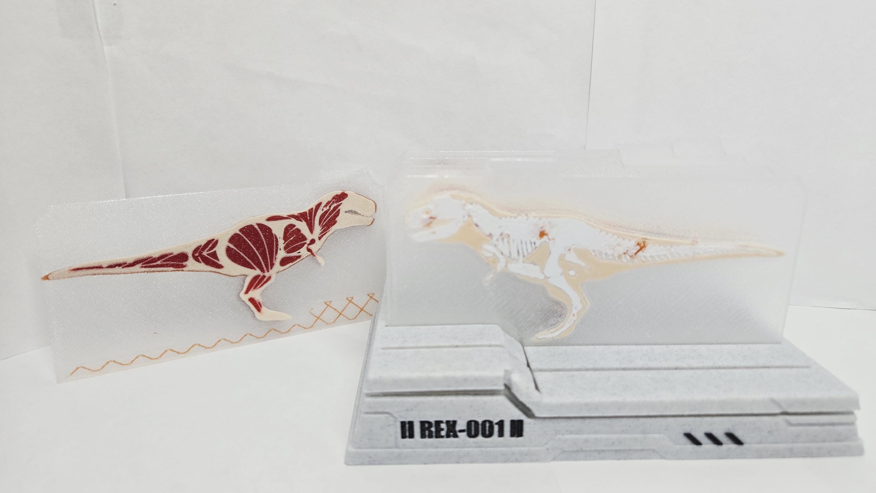 T-Rex Anatomy Sliced Diorama | Interactive Layered Dinosaur Lab Display Model