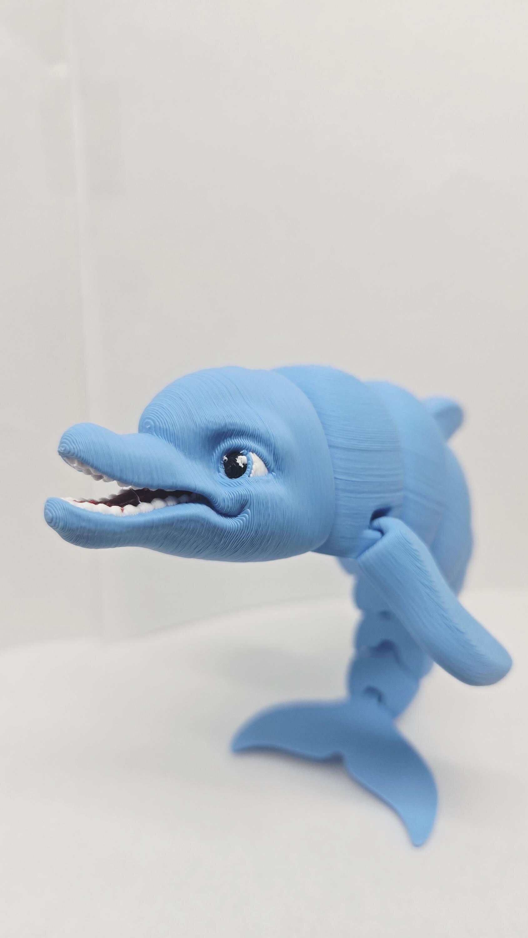 Straight front-on view focusing on the friendly eyes, detailed snout, and smooth blue skin gradients of the flexible dolphin figure