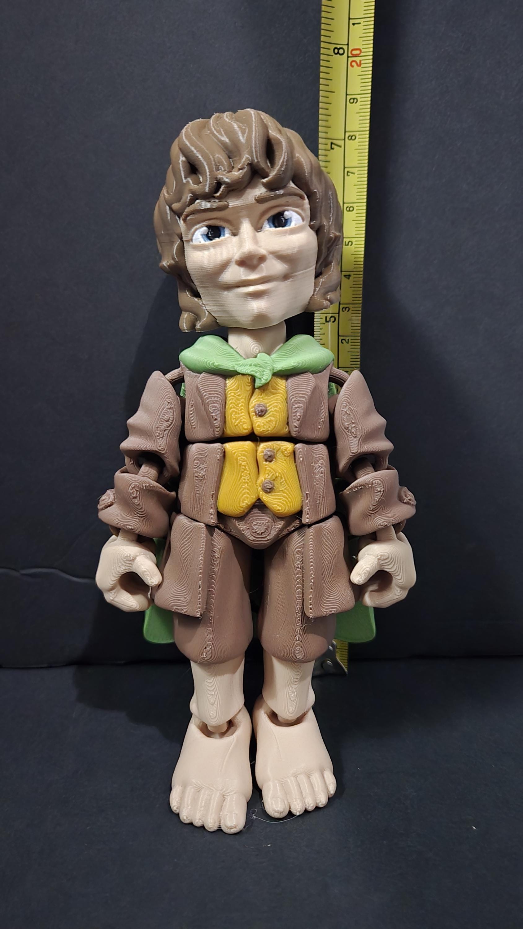 Straight front view focusing on the curly brown hair, detailed green traveling cloak, and friendly face of the flexible Frodo Baggins figure