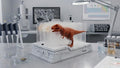 3D printed T-Rex anatomy diorama featuring translucent biological slides stacked in a grey lab dock with a brown dinosaur emerging from the front
