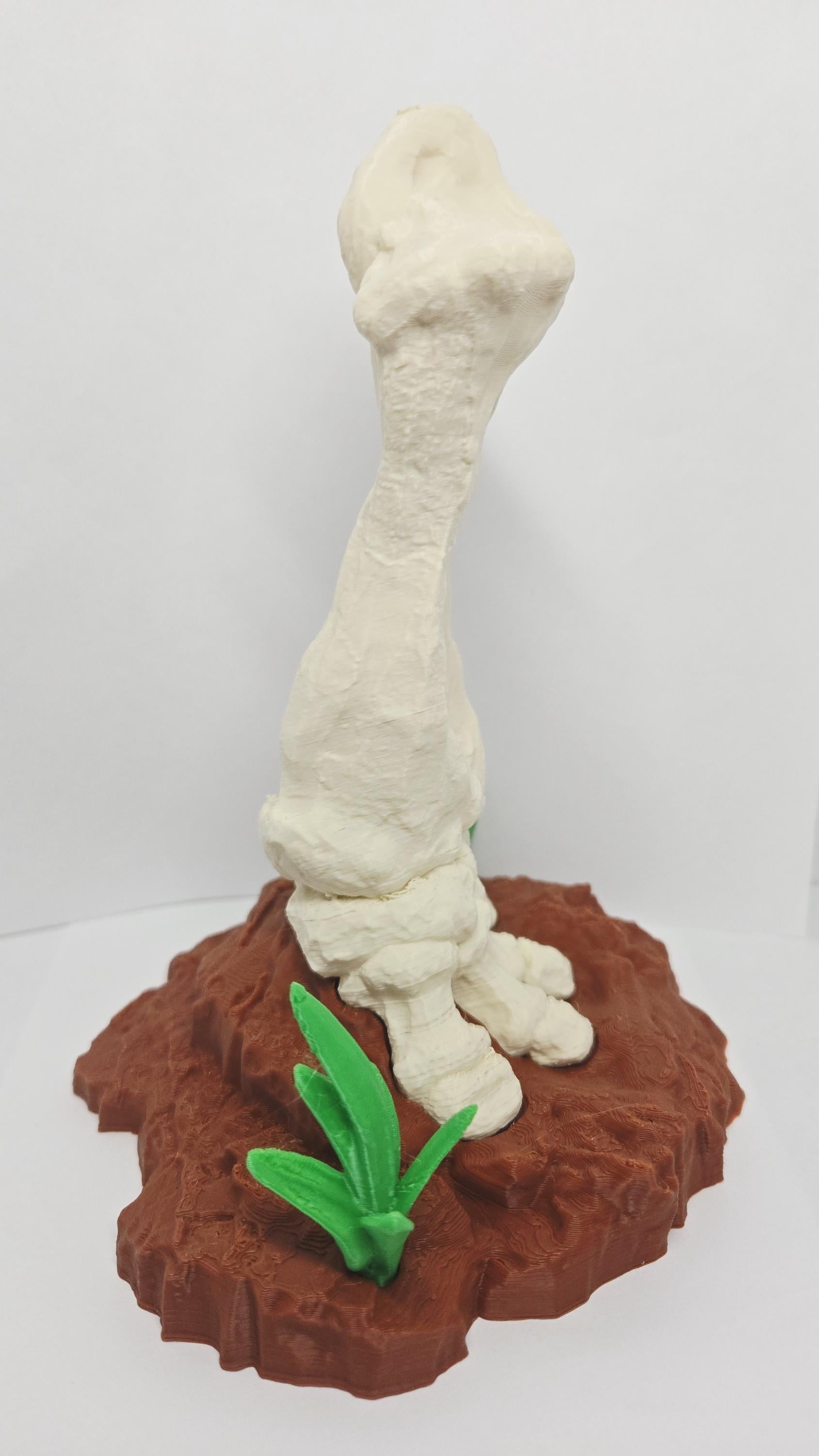 Right side view focusing on the weathered surface cracks and porous details integrated into the 3D printed dinosaur bone model